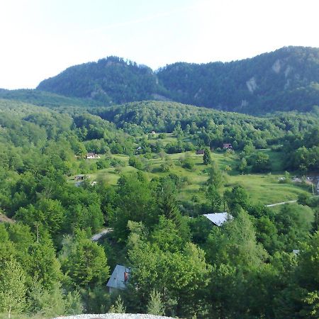 Pensiunea Dolvas Padis Exterior foto